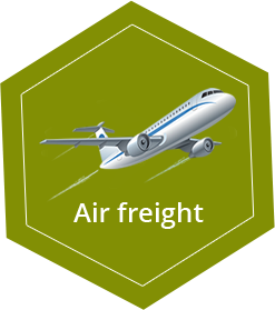 Pitch Transit and Logistic Services | air freight